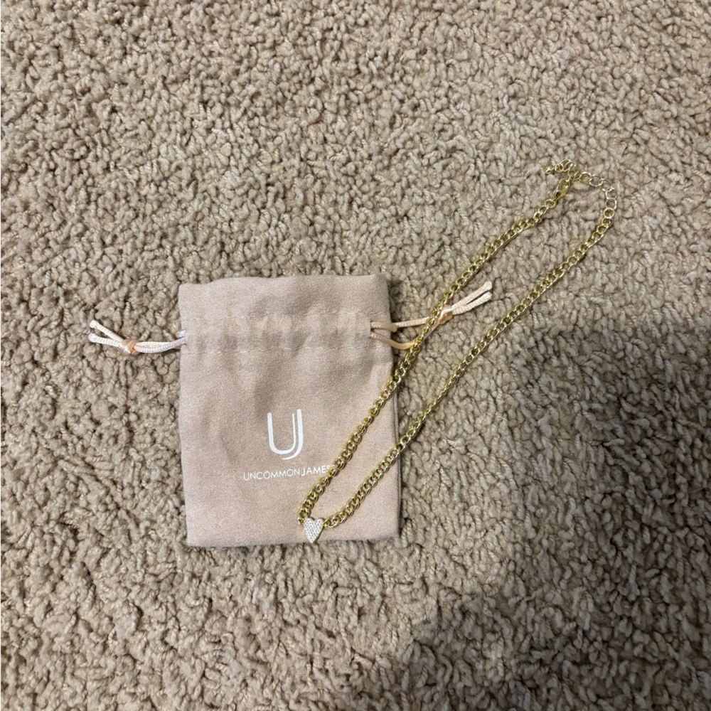Uncommon James Gold Chain Necklace with Pouch